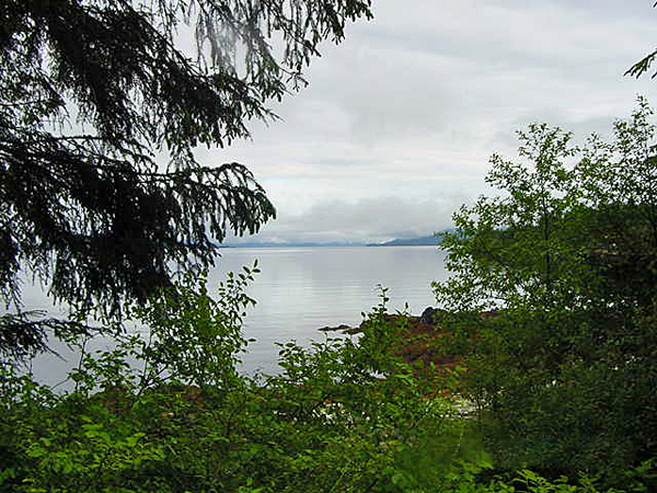the lake
